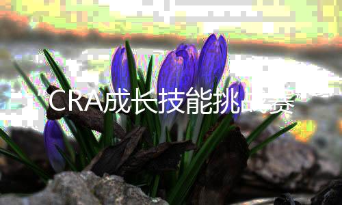 “CRA成长技能挑战赛”勇破逆境,主宰一方